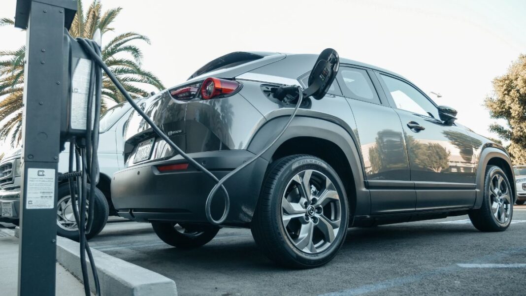 ventas coches eléctricos 2024
